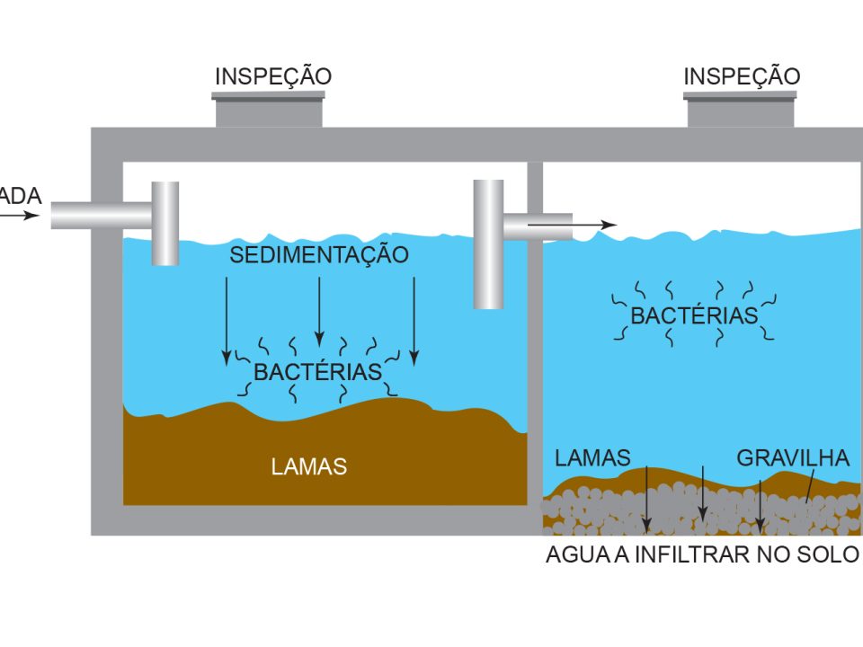 bacterias-fossa-septica