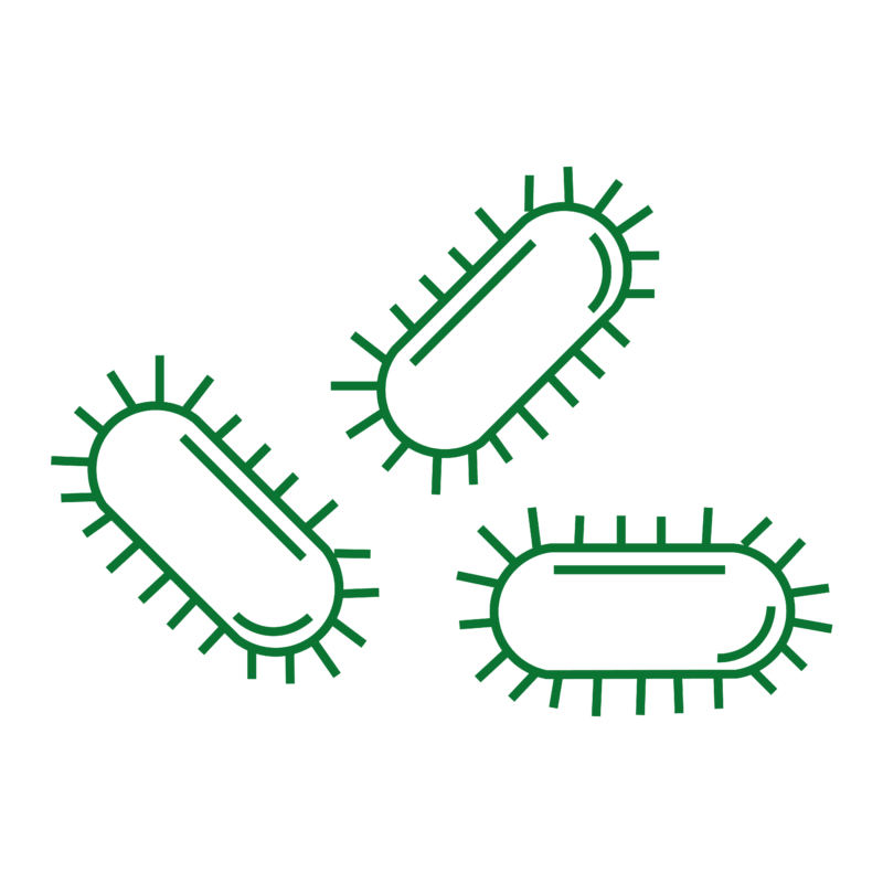 EU-SOL - Bactérias e enzimas para aumentar a produção de biogás