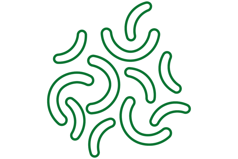 COMPOST-JÁ - ACELARADOR DE COMPOSTAGEM
