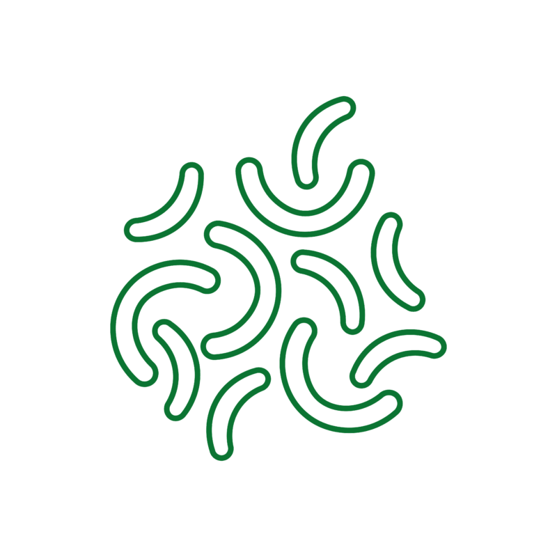 COMPOST-JÁ - ACELARADOR DE COMPOSTAGEM